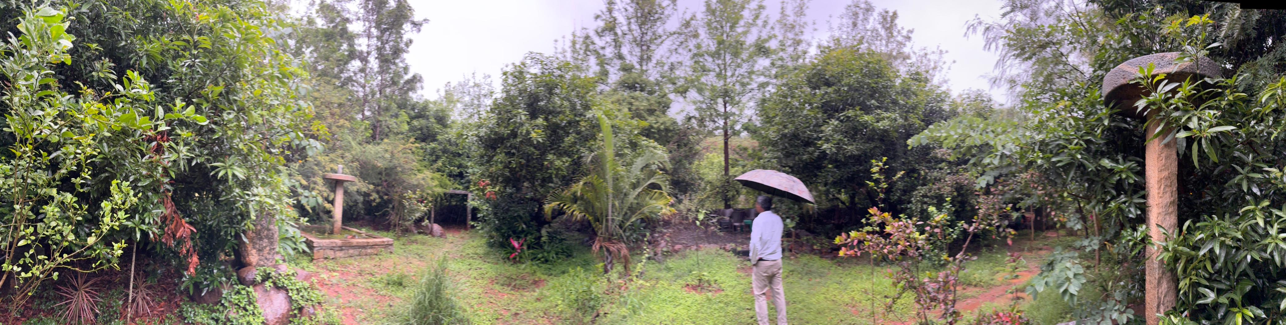 Monsoon landscape